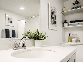 A white sink with a silver faucet and a plant in a white pot.